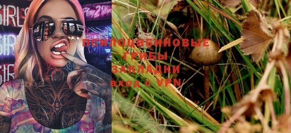a pvp Богородск