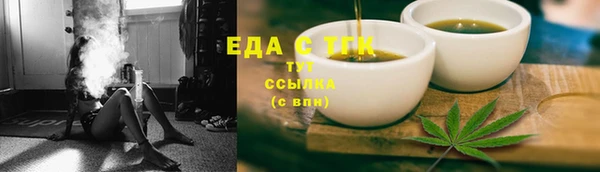 дживик Верхний Тагил