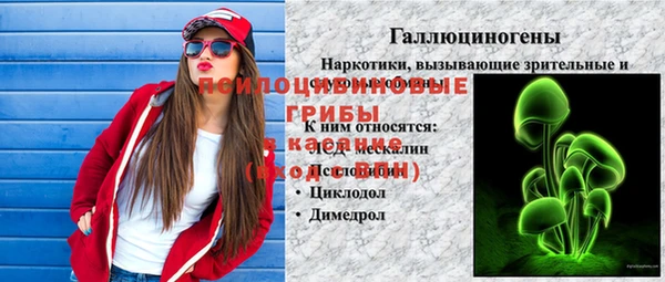 a pvp Богородск