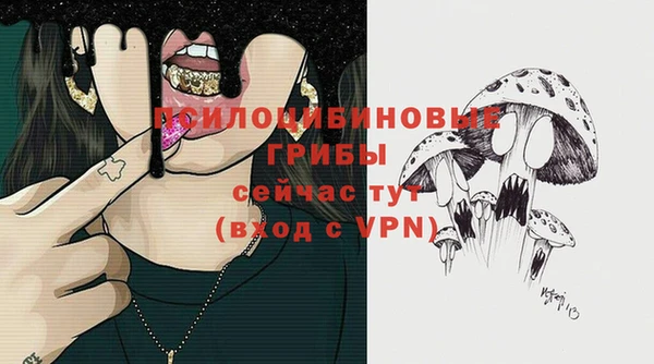 apvp Богданович