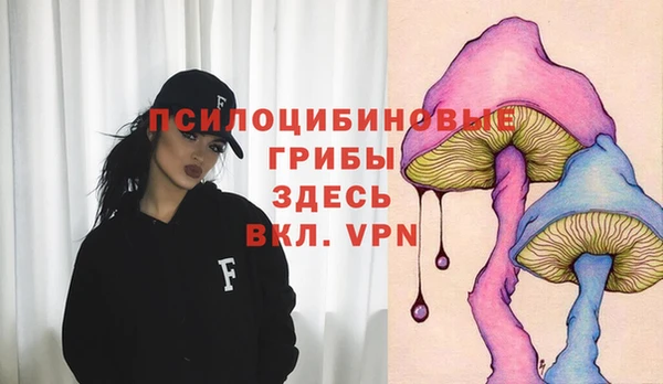 индика Верея