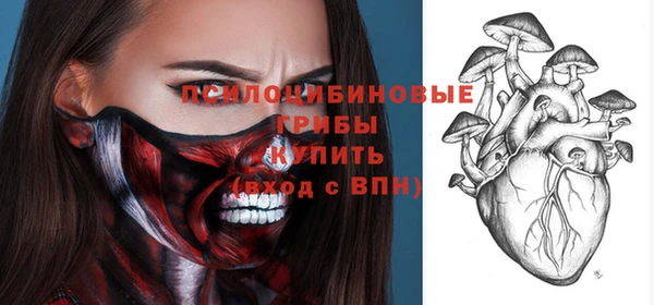 индика Верея