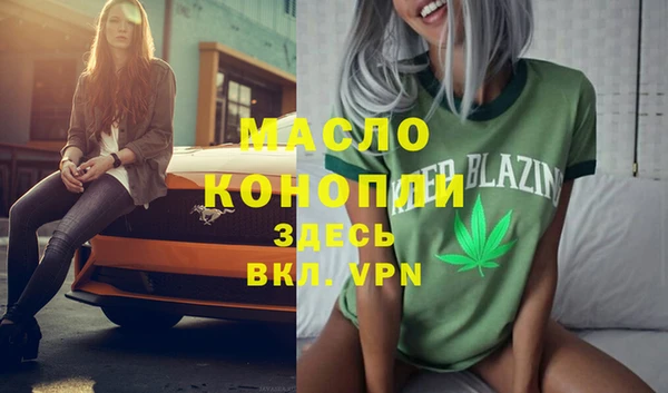 индика Верея