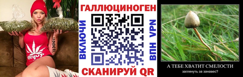 наркошоп  Инта  Галлюциногенные грибы мицелий 